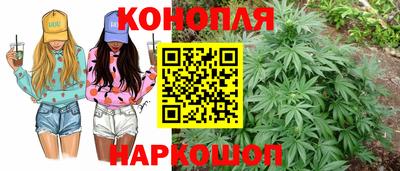 крисы Конаково